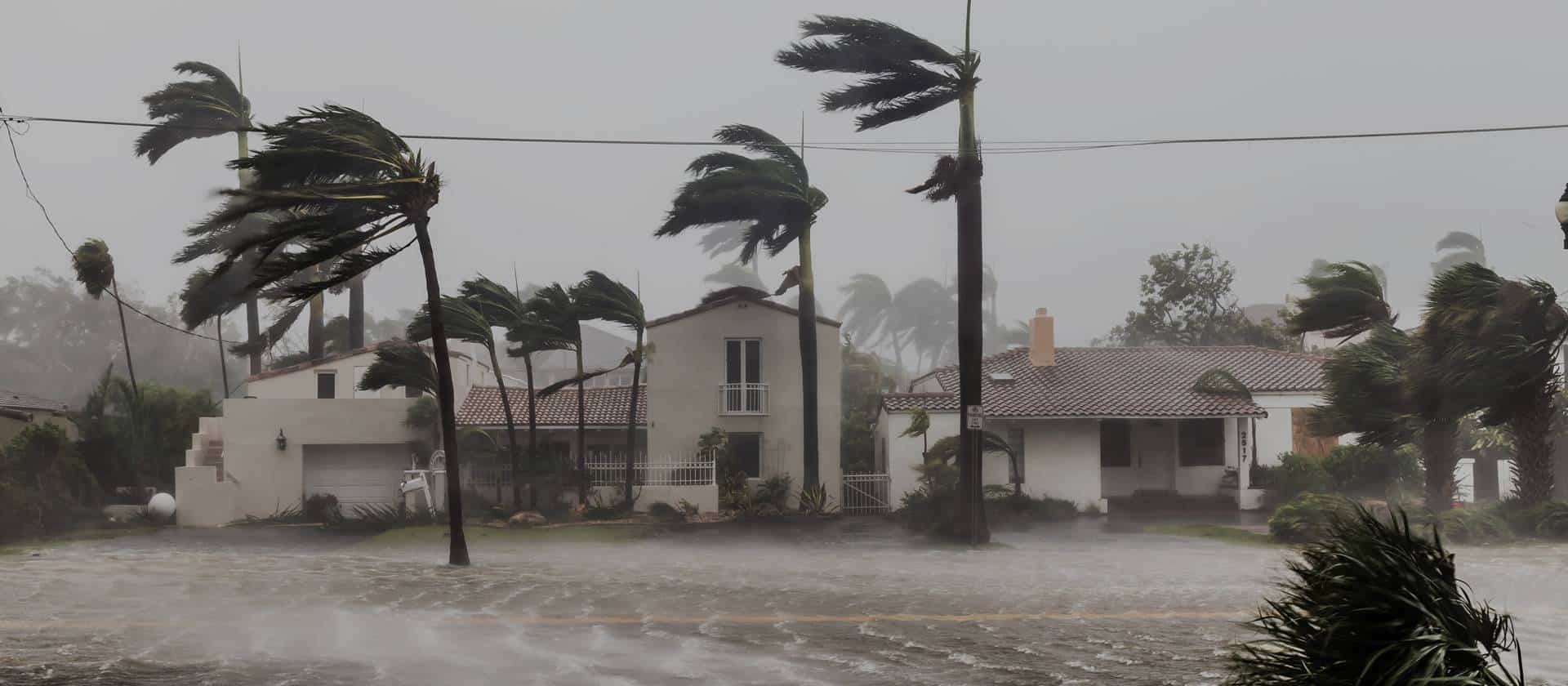Ajustador Publico, Hurricane Damage