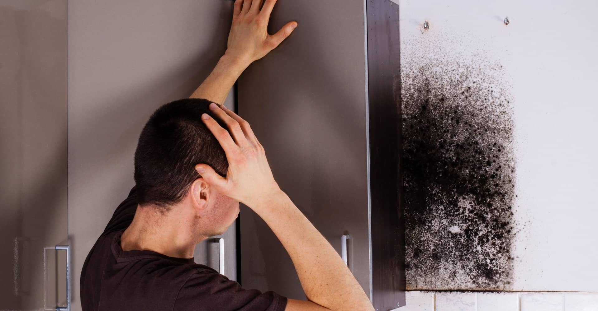 Alconero & Associates - How dangerous is mold damage in your home?