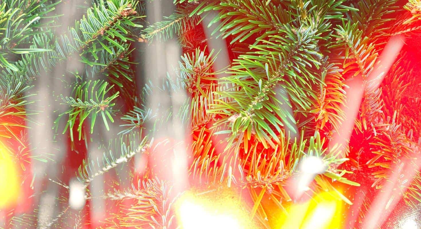 Alconero and Associates - Holiday Decorating Tips to Prevent Fire Damage
