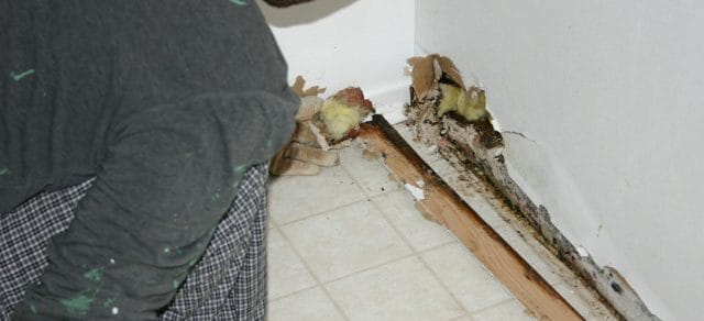 Water Damage Causes in Tampa