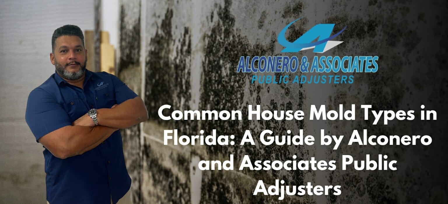 House Mold Types in Florida: A Guide by Alconero and Associates Public Adjusters