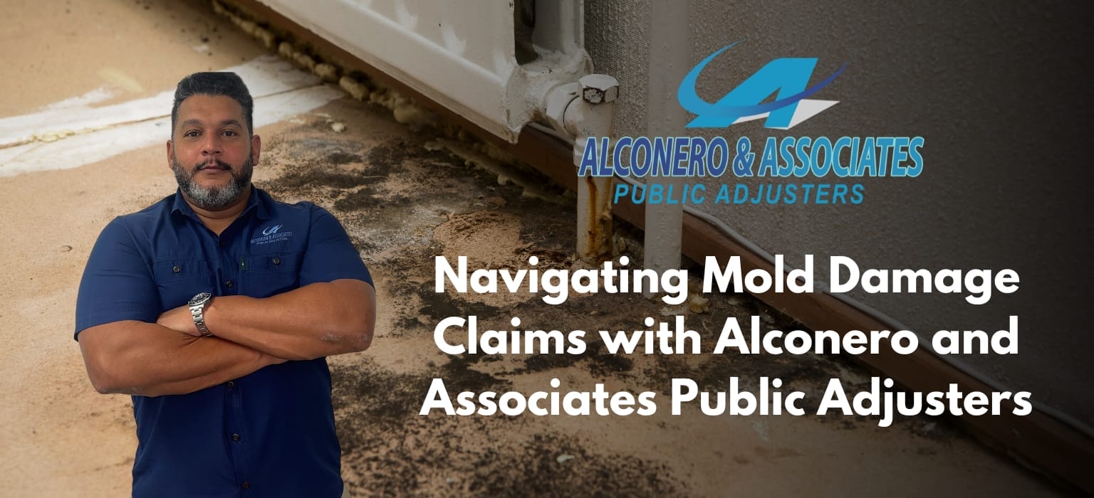 Navigating Mold Damage Claims with Alconero and Associates Public Adjusters