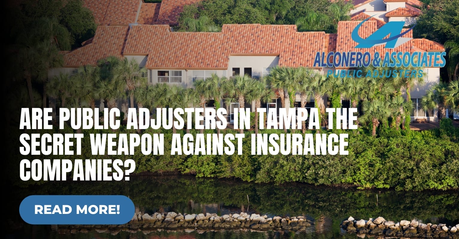 Are Public Adjusters in Tampa the Secret Weapon Against Insurance Companies?